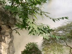 -拙政园