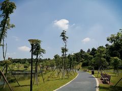 -东莞植物园