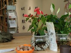 -杏林康桥中医正骨·体态矫正·跌打损伤·推拿按摩(国贸建外SOHO店)