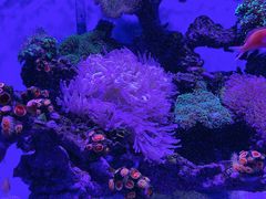 -上海海昌海洋公园