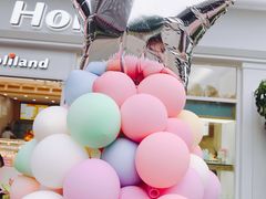 -蒲公英(五里店)