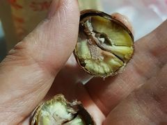 栗子-栗满秋(燕丰西坝河店)