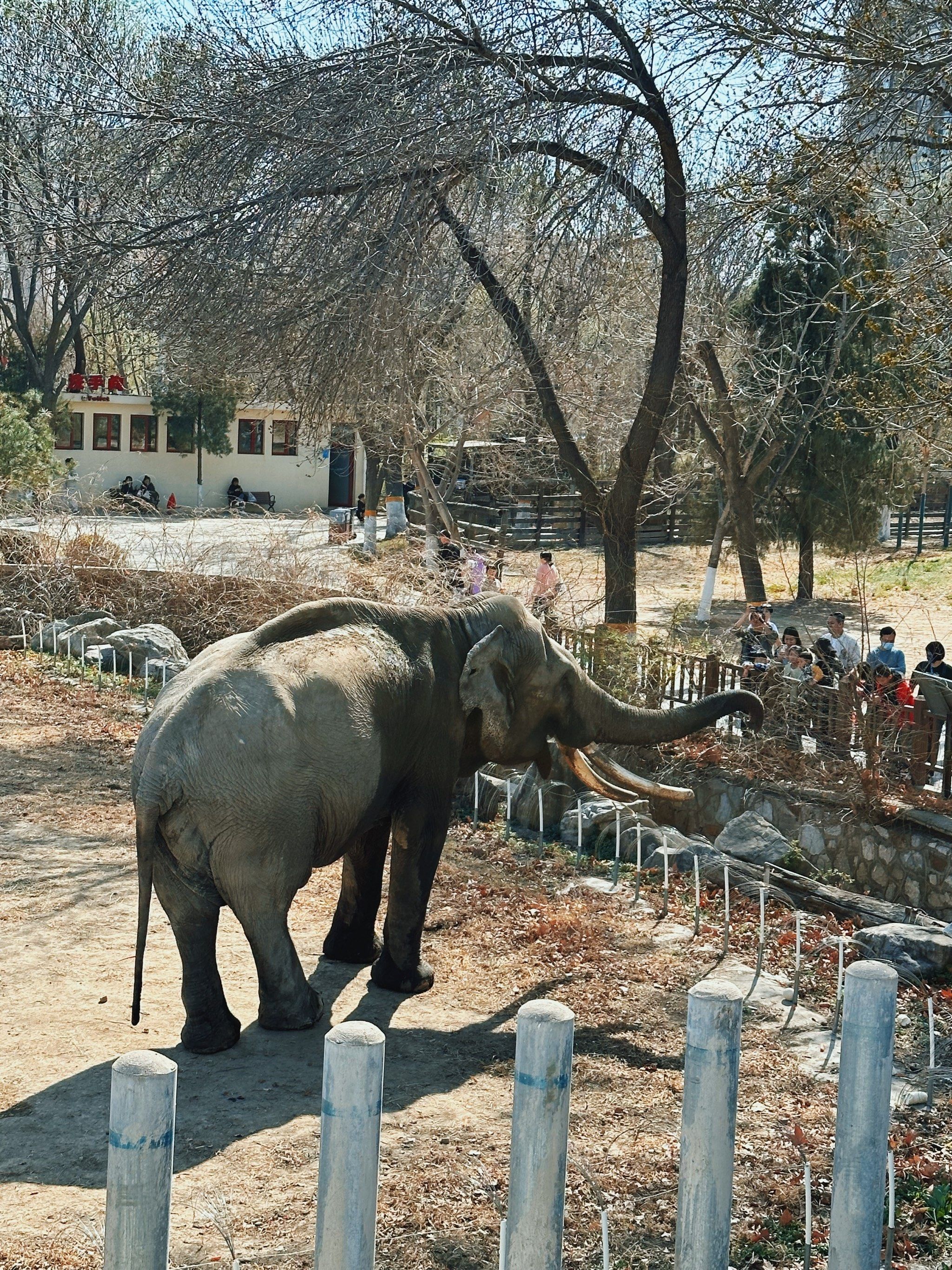 天津动物园真的主打一个性价比