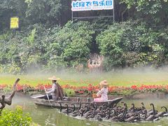 -广州长隆飞鸟乐园