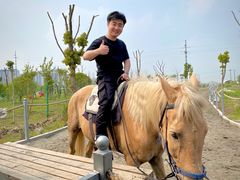 -南通鲜花小镇