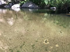 -碓臼峪自然风景区