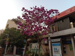 -鹅最好(南光店)