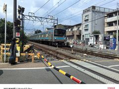 -上野公园花园稻荷神社(忍岡稲荷神社)