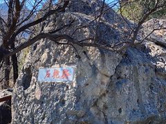 -阳台山自然风景区
