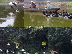 -广州长隆飞鸟乐园