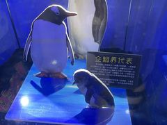 -台州海洋世界