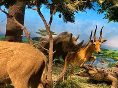 -国家自然博物馆