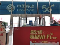 -中国移动(高升桥营业厅)