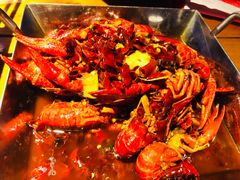 -辣猫龙虾(马泉营店)