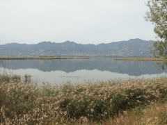 -野鸭湖国家湿地公园