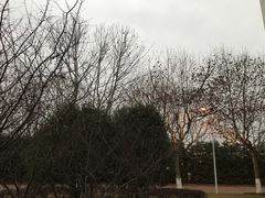 -上海第二工业大学(金海路校区)