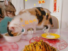 -OUR Bakery(SKP-S店)