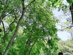 -WeLope紫金山探险公园