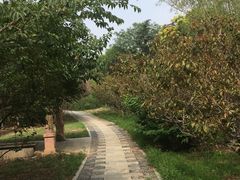 -OCT华侨城·北京