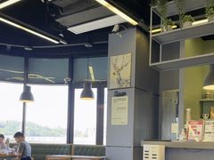 -MT麦如麦立送(五矿live店)