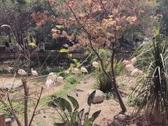 -昆明动物园