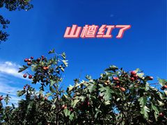 -北京山里寒舍度假酒店