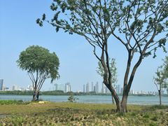 -渤公岛生态公园