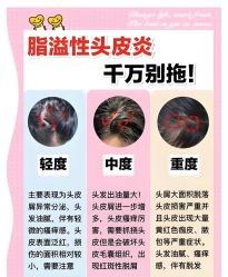 -Bollins波林丝•专研护发中心