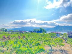-河口景区