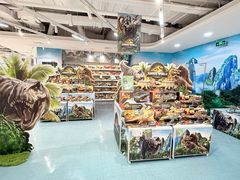 -TOYSRUS玩具反斗城(上海万象城店)