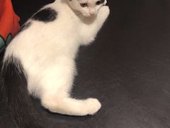 -么么咖啡(燕郊店)