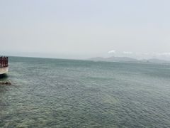 -养马岛旅游度假区