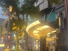 -上海波特曼丽思卡尔顿酒店