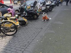 -全家便利店(孩儿巷店)