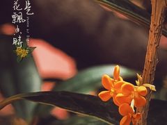 -颐和园