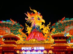 -武汉园博园(武汉自然博物馆)