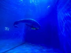 -多彩贵州城极地海洋世界