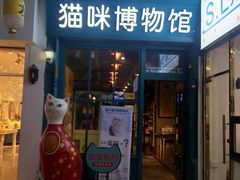 门面-猫咪博物馆(顶澳仔猫街店)