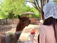 -鄂尔多斯野生动物园