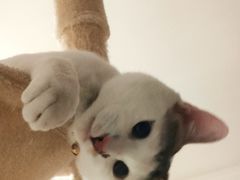 -花花卷卷·鲜食蛋糕(静安久光百货店)