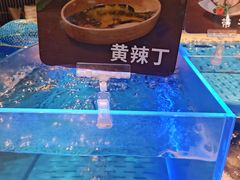 -海底捞火锅(长宁路龙之梦店)