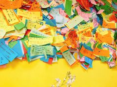 -志龙皇冠吃货椰子铺