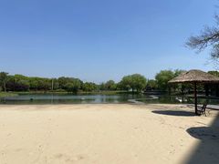 -上海佘山世茂艾美酒店