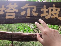 -云丘山景区