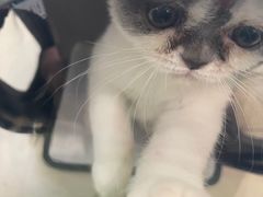 -美迦爱-牙专科·兔科·骨科诊疗中心(北苑店)