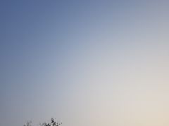 -万达广场(龙湖店)
