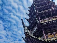 -红梅公园