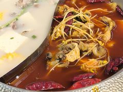 -麻田会 ·鲜活现烹·牛蛙火锅(珠江新城维家思广场店)
