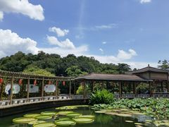 -广州莲花山旅游区
