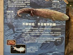 -成都动物园